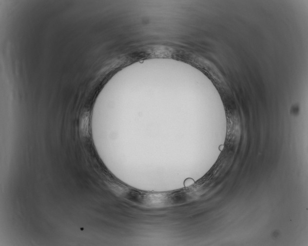 X0000100860717200806200838