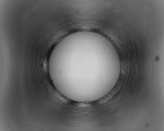 X0000100860718200806200838