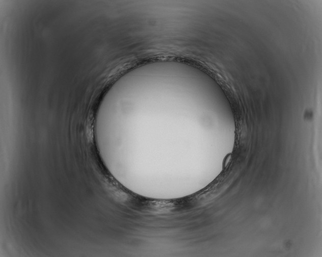 X0000100860719200806200838