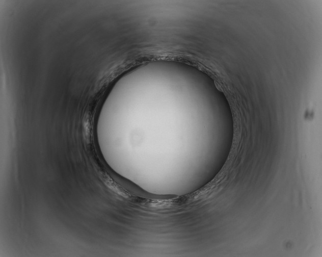 X0000100860720200806200838