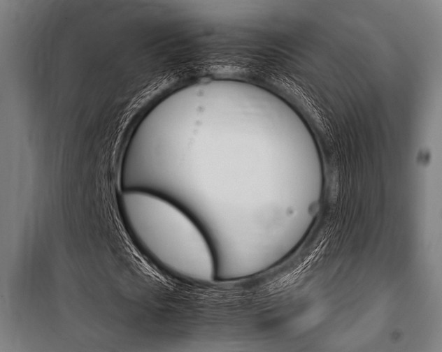 X0000100860721200806200837