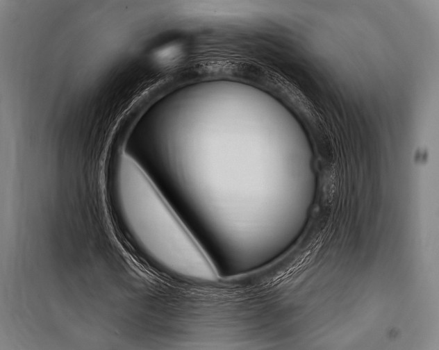 X0000100860722200806200837
