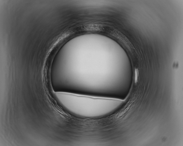 X0000100860723200806200837