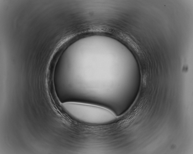 X0000100860724200806200837