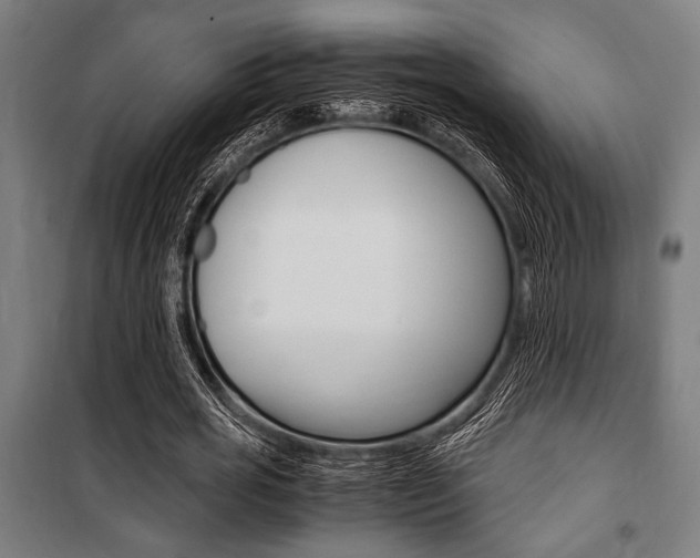X0000100860725200806200837