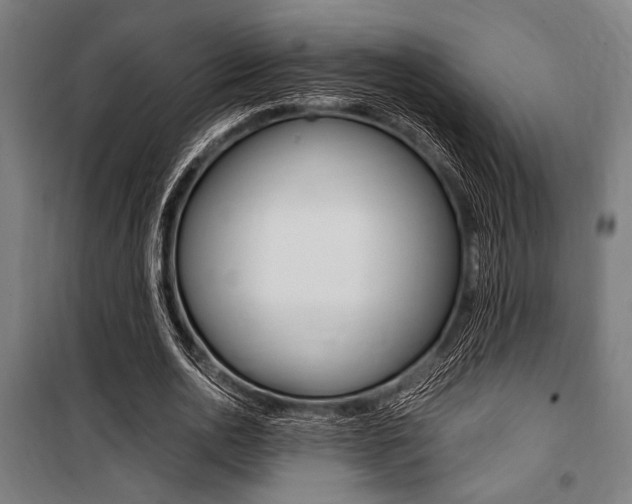 X0000100860726200806200837
