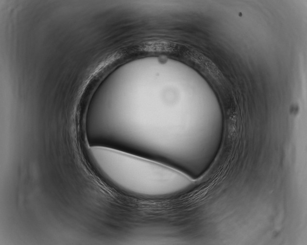 X0000100860727200806200837