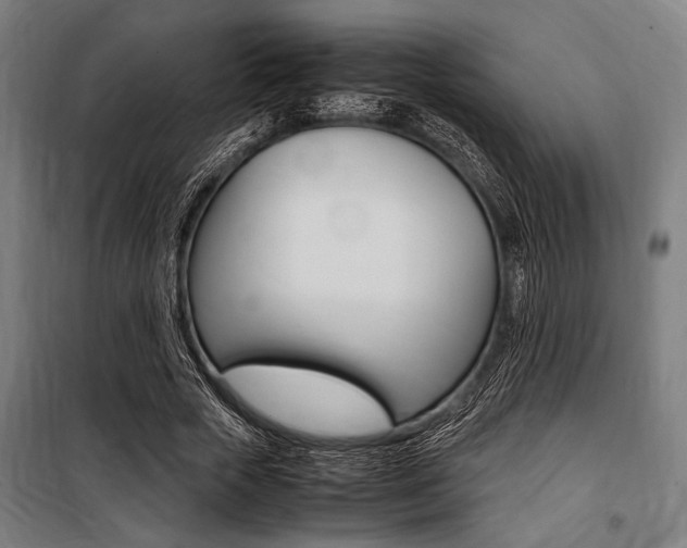 X0000100860729200806200837