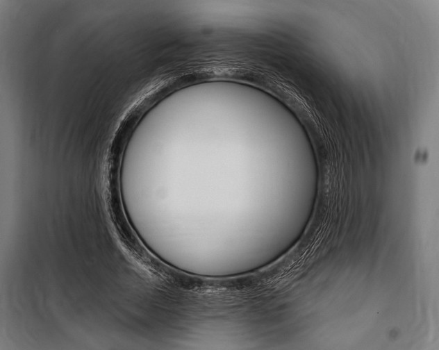 X0000100860730200806200837