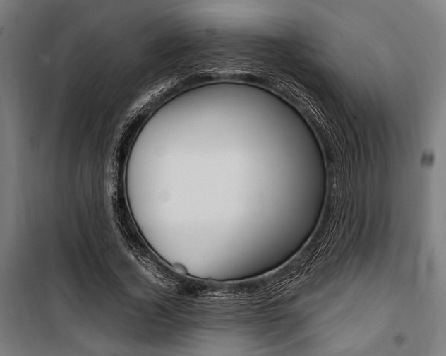 X0000100860732200806200837