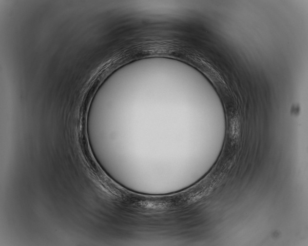 X0000100860733200806200837