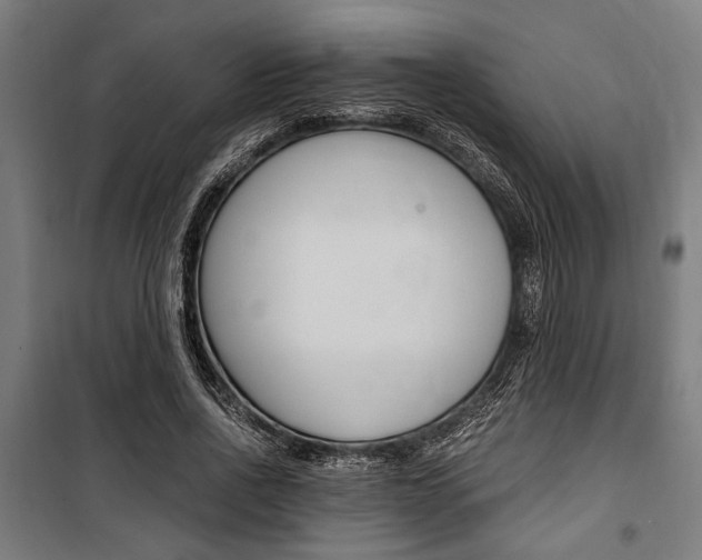 X0000100860734200806200837