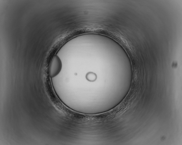 X0000100860736200806200837