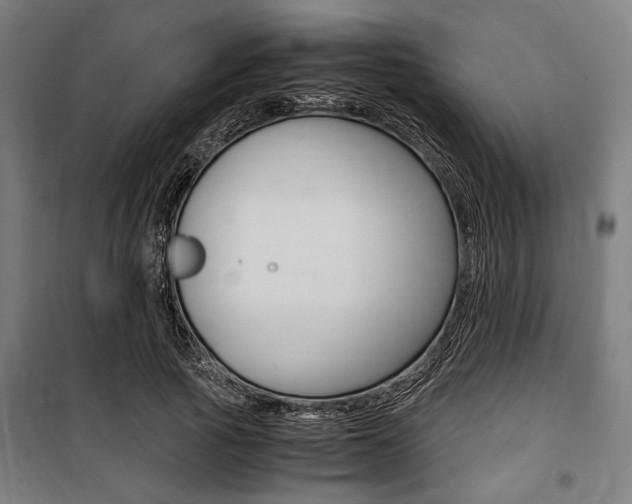 X0000100860737200806200837