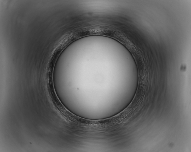 X0000100860738200806200837