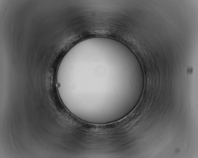 X0000100860739200806200837