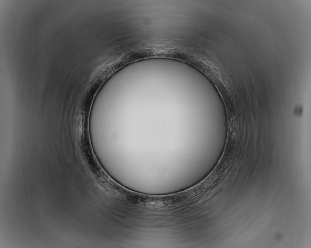 X0000100860740200806200837