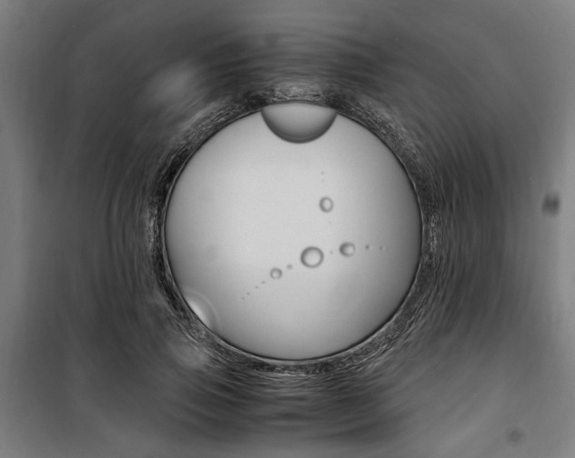 X0000100860741200806200837