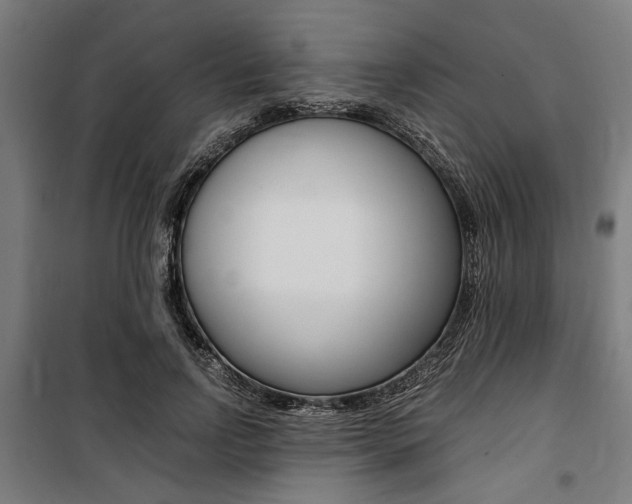 X0000100860742200806200837