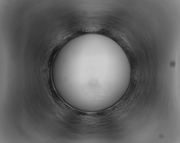 X0000100860743200806200837