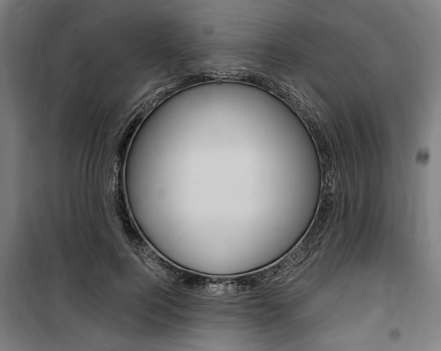 X0000100860744200806200837