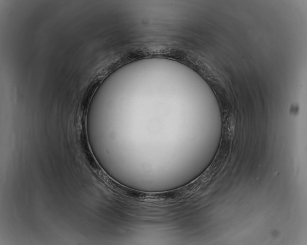 X0000100860746200806200838