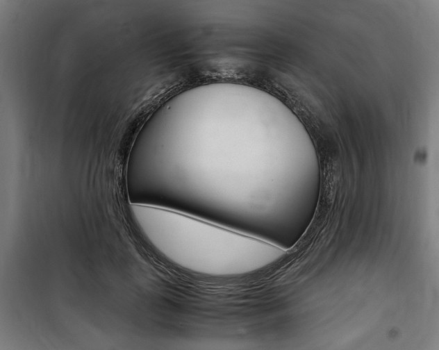 X0000100860747200806200838