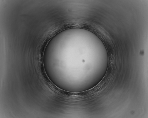 X0000100860748200806200838