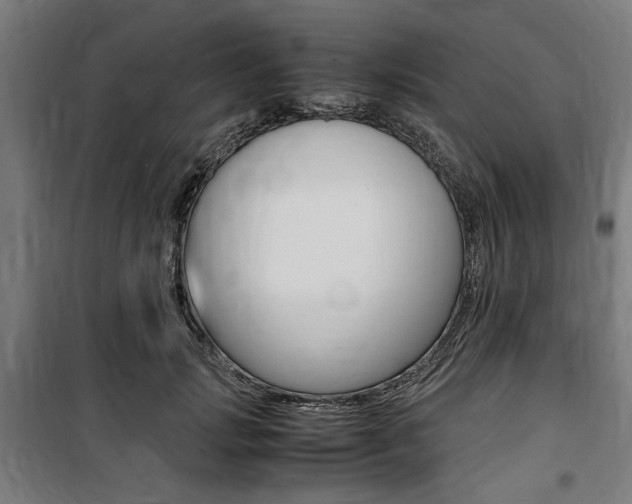 X0000100860749200806200838
