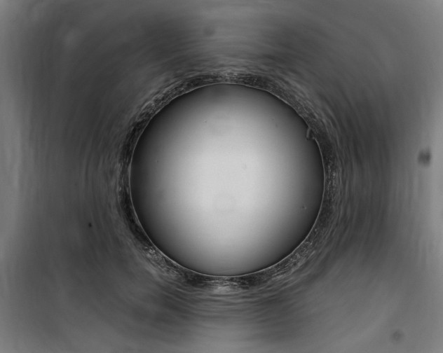X0000100860750200806200838