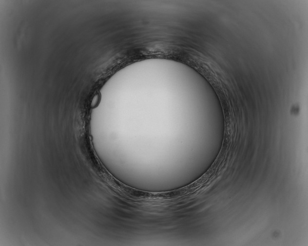X0000100860751200806200838