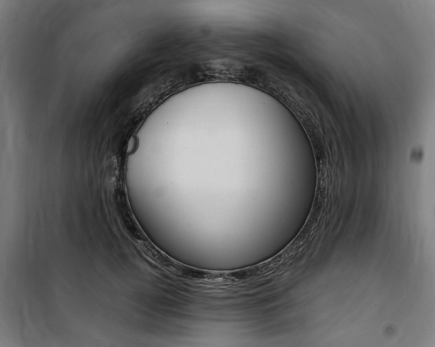 X0000100860752200806200838