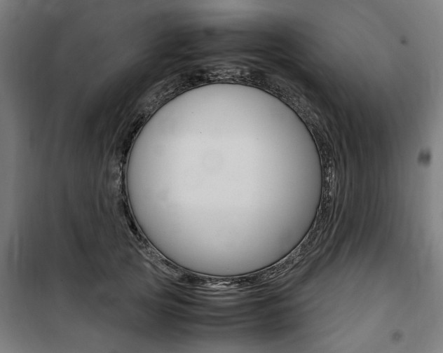 X0000100860753200806200838