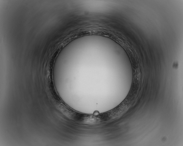 X0000100860754200806200838