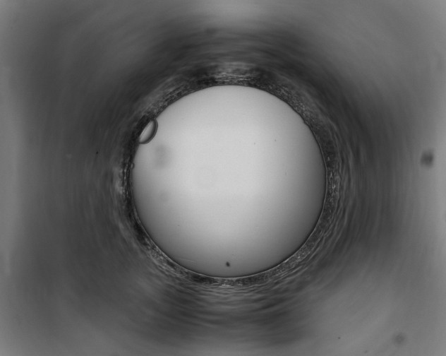 X0000100860755200806200838