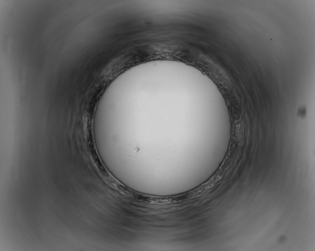 X0000100860757200806200838