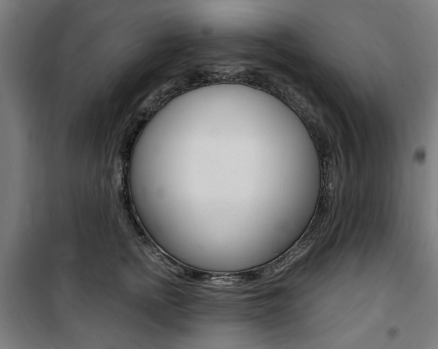 X0000100860758200806200838