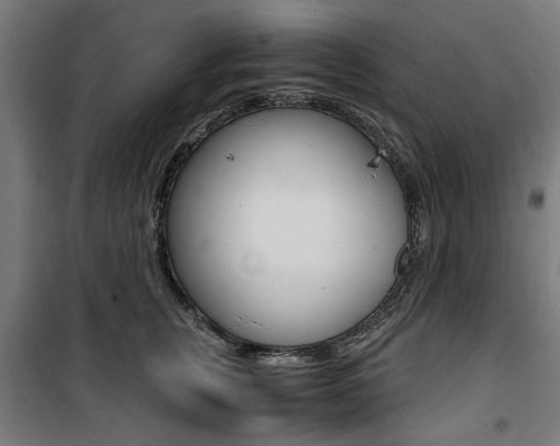X0000100860759200806200838