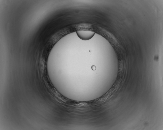 X0000100860761200806200838