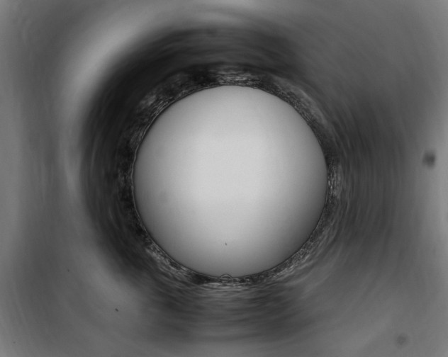 X0000100860763200806200838