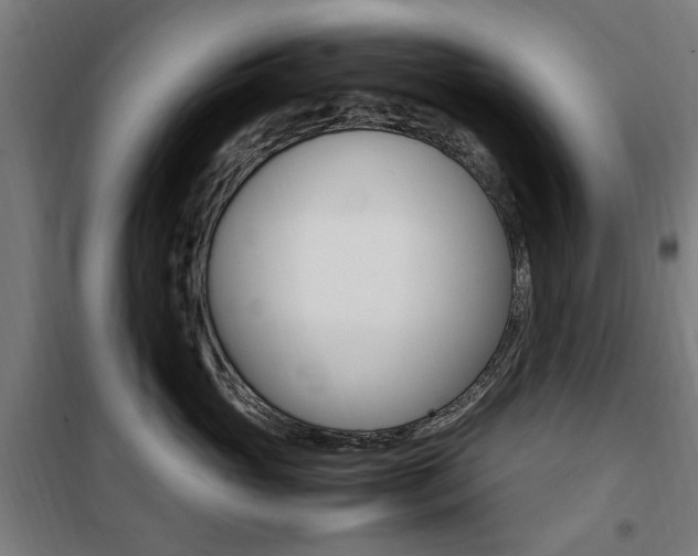 X0000100860765200806200838