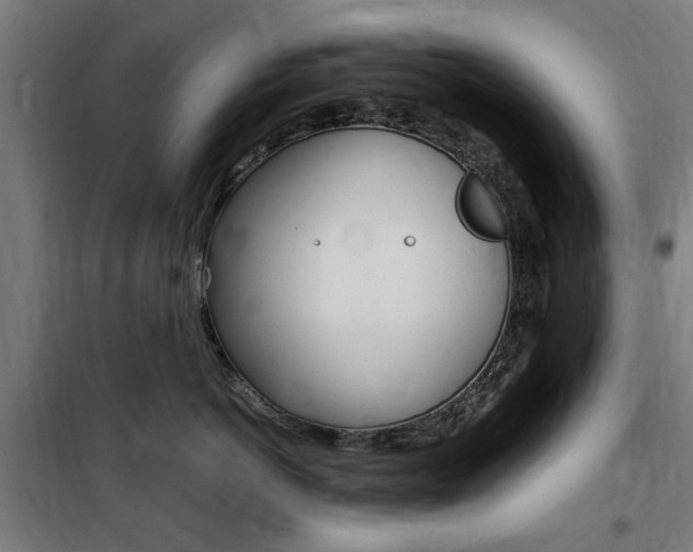 X0000100860766200806200838