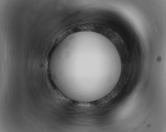 X0000100860767200806200838