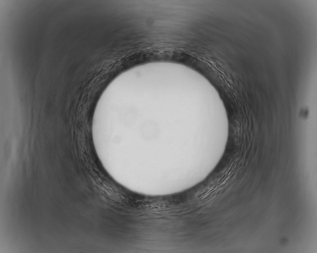 X0000100860769200806200837