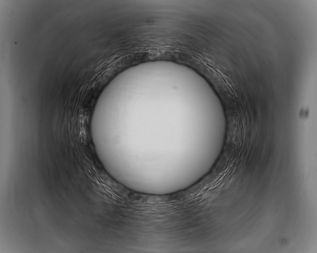 X0000100860770200806200837