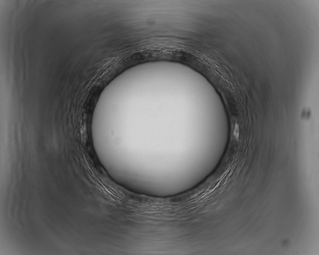 X0000100860771200806200837