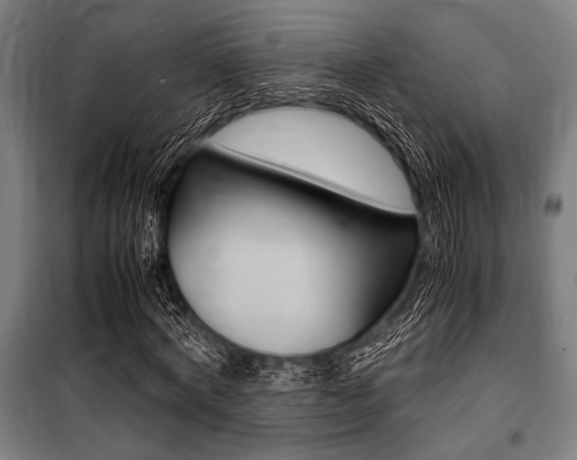 X0000100860772200806200837