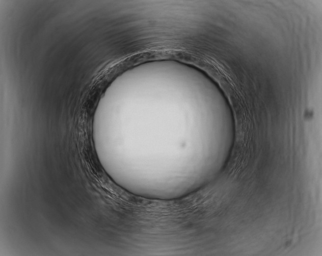 X0000100860773200806200837