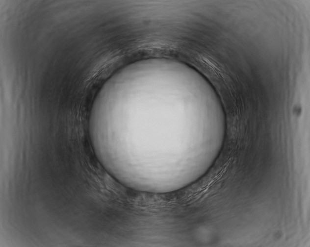 X0000100860774200806200837