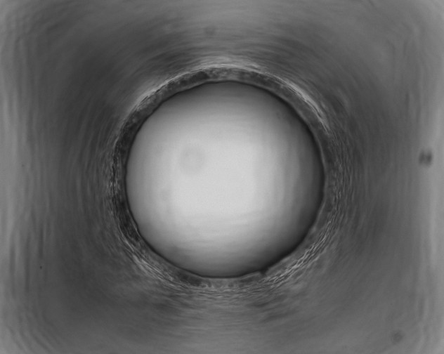 X0000100860775200806200837